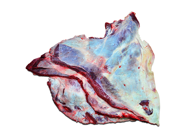 Flank
