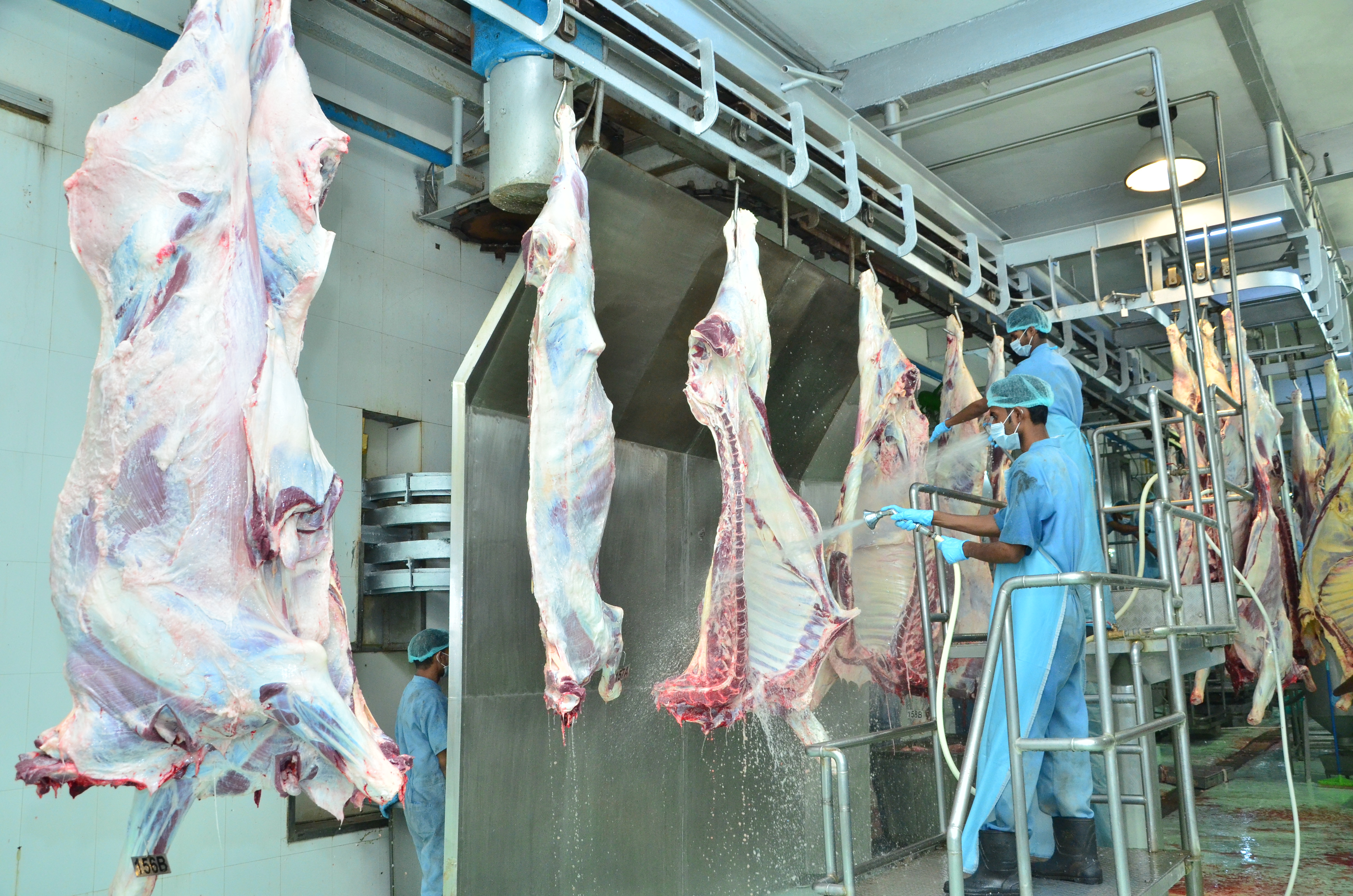 Slaughtering