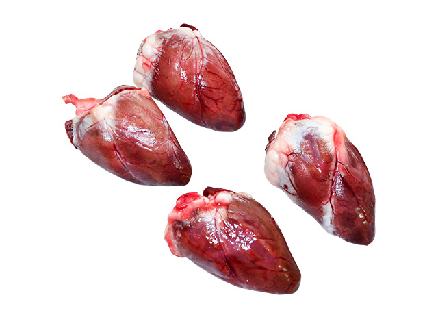 Sheep Heart