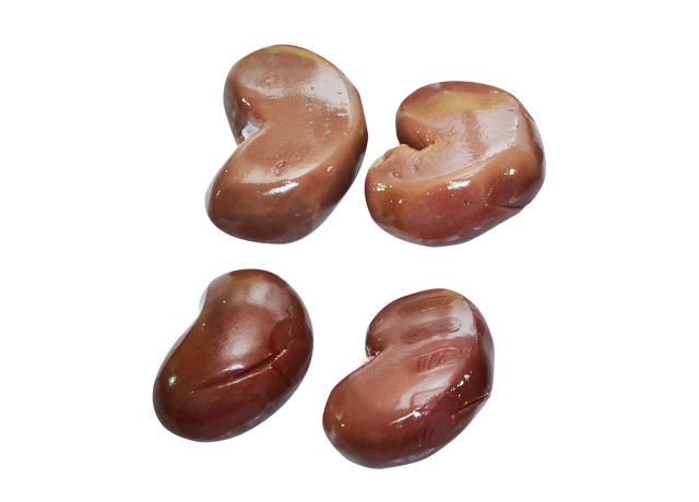 Sheep Kidney