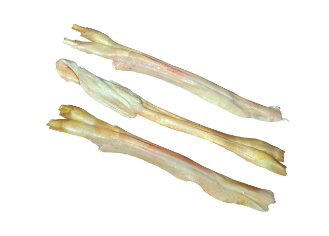 Hock Tendon (008)