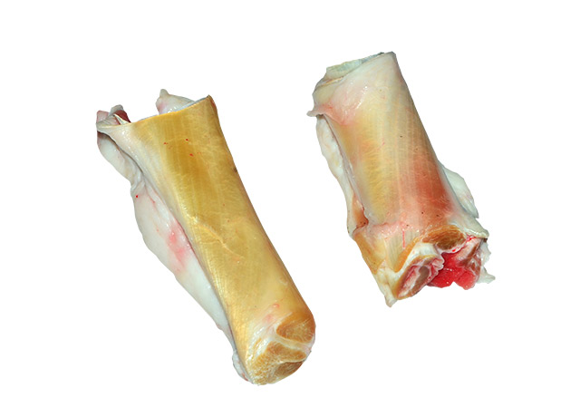 Short Tendon (017)